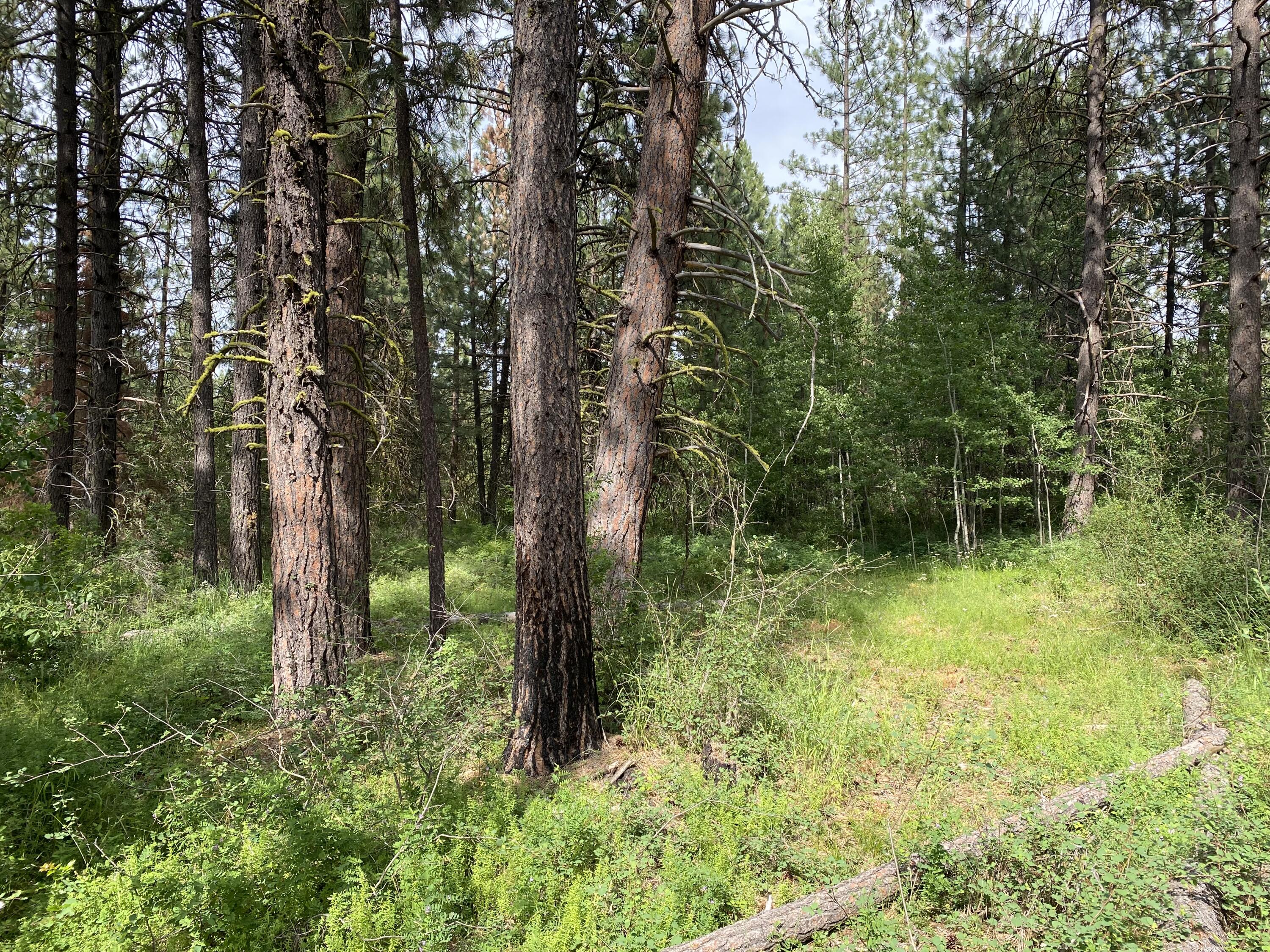 Mountain Lakes Homesites - Land