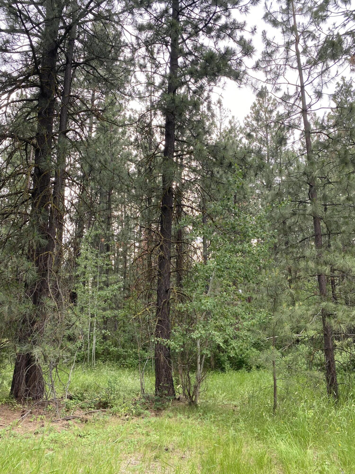 Mountain Lakes Homesites - Land