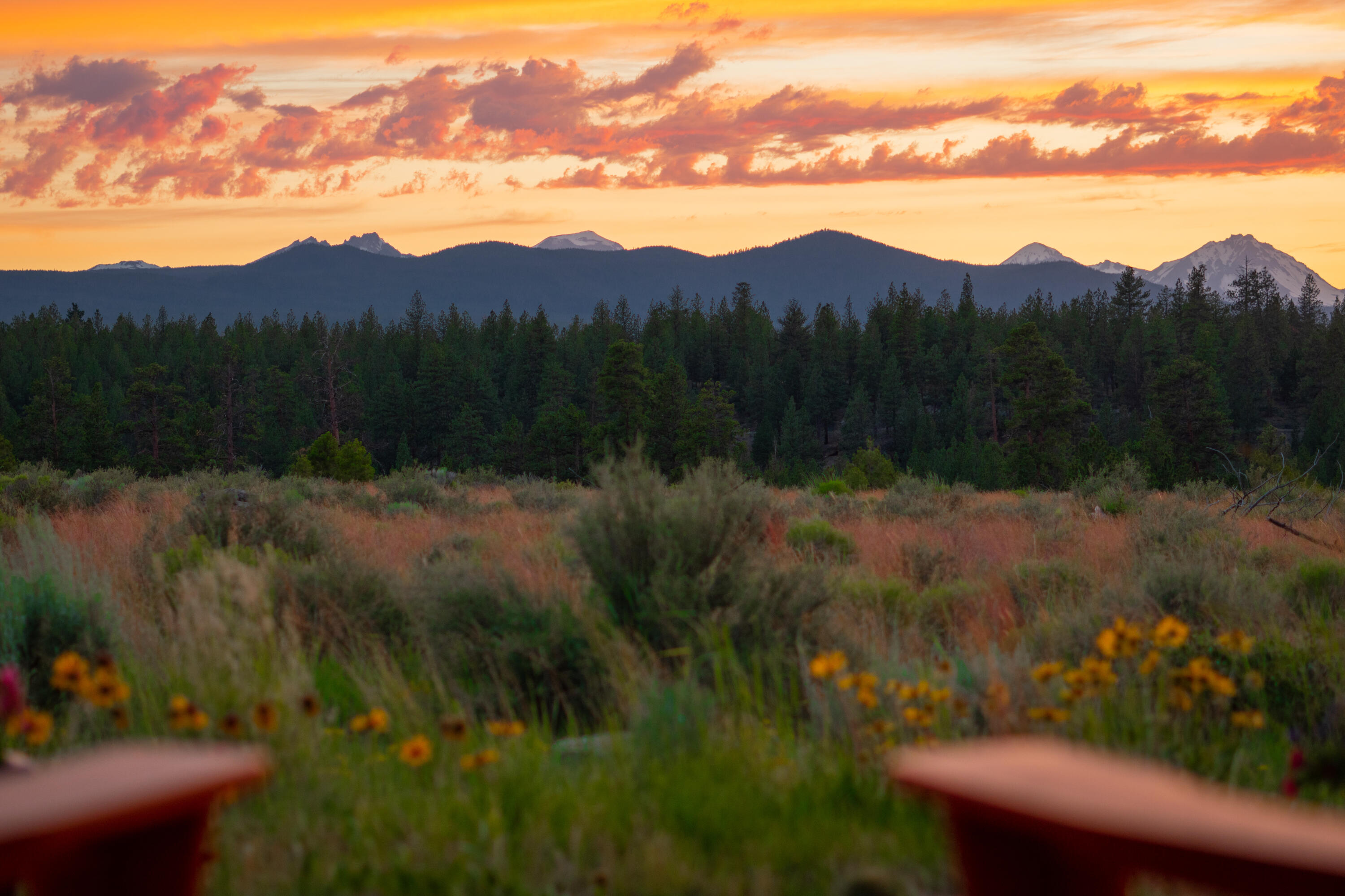 Shevlin Commons - Residential