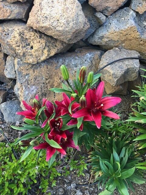 Deschutes RiverWoods - Residential