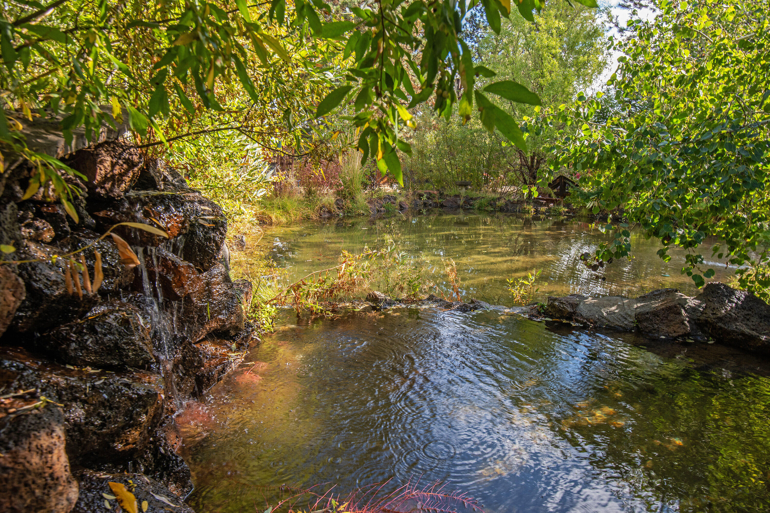 Deschutes RiverWoods - Residential