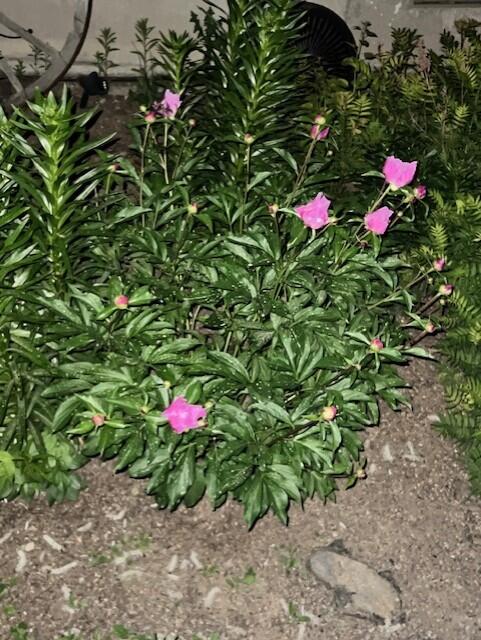 Deschutes RiverWoods - Residential