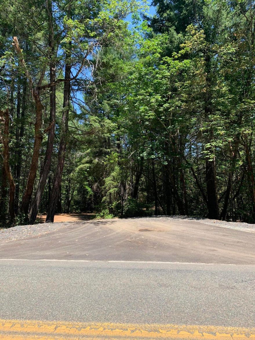 Recently partitioned 83 acers on Limpy Creek with fabulous mountain and valley views. This property has meadows, trees, and creek frontage on Limpy Creek. This is a beautiful piece of SW Oregon to build your new home on or put a manufactured home onto. Private, secluded and quite privacy await fortunate buyer. This is just minutes from Grants Pass, but what a great country property in Josephine county. Come see to appreciate.Deed restrictions include no cannabis/hemp allowed; no mfg. homes allowed (1600 Sq ft minimum) built within 1 year of purchase; no commercial livestock including no roos res or swine allowed.