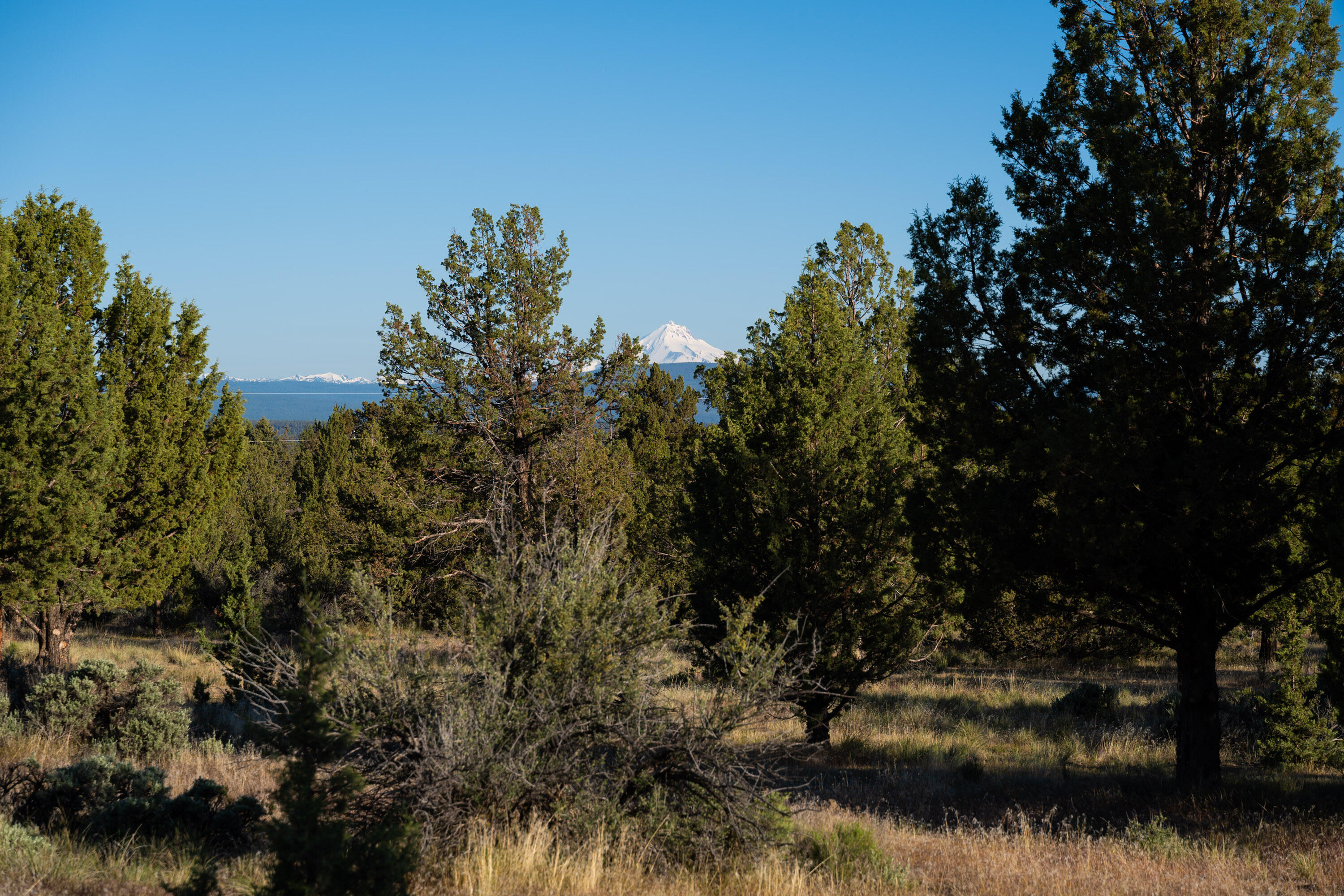 Lower Bridge Estate - Residential