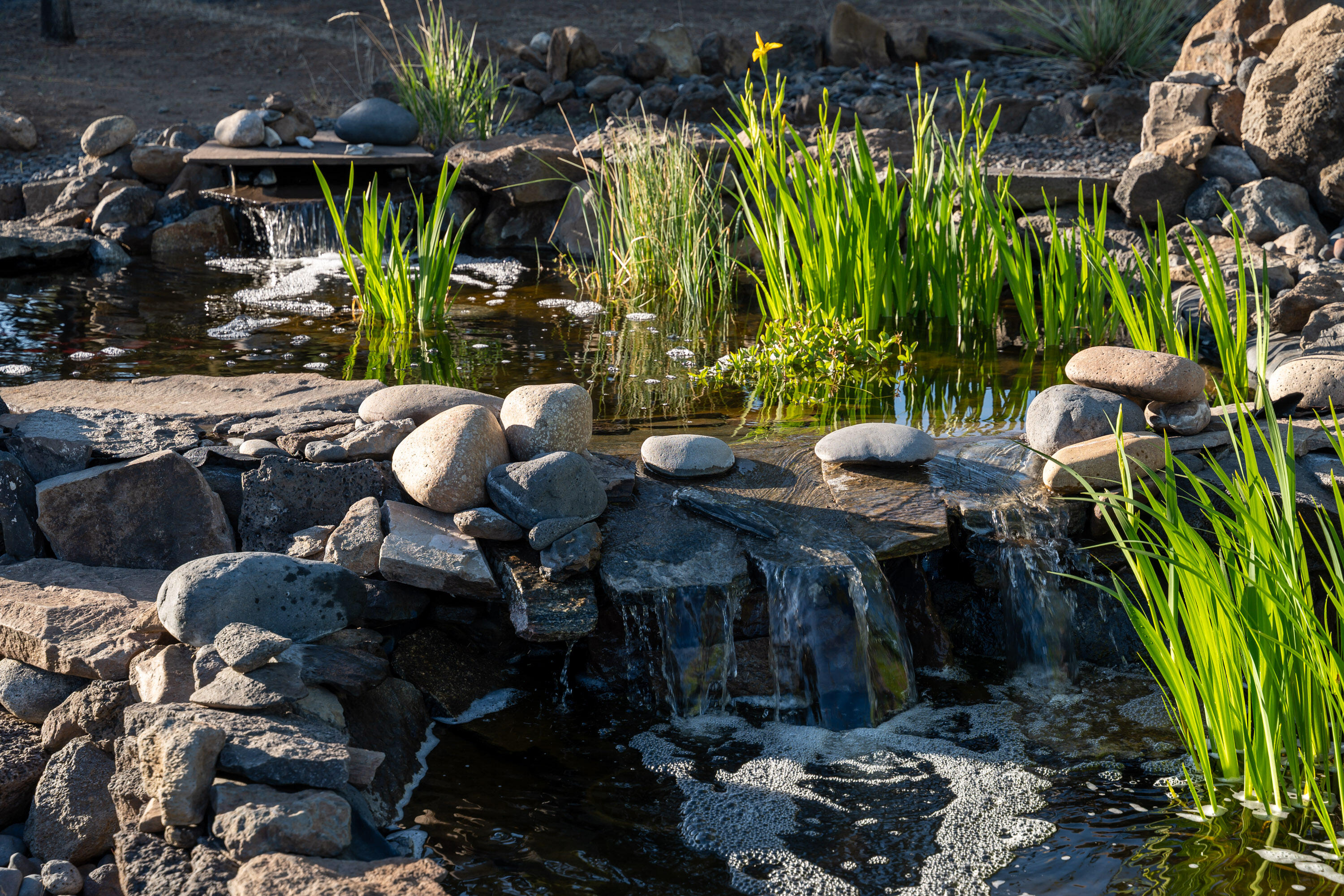 Lower Bridge Estate - Residential