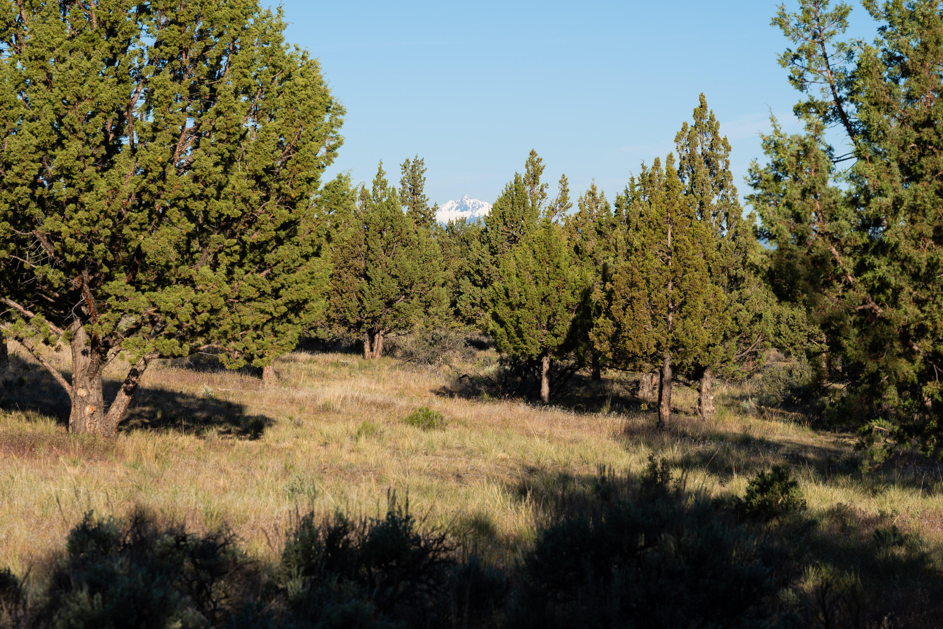 Lower Bridge Estate - Residential