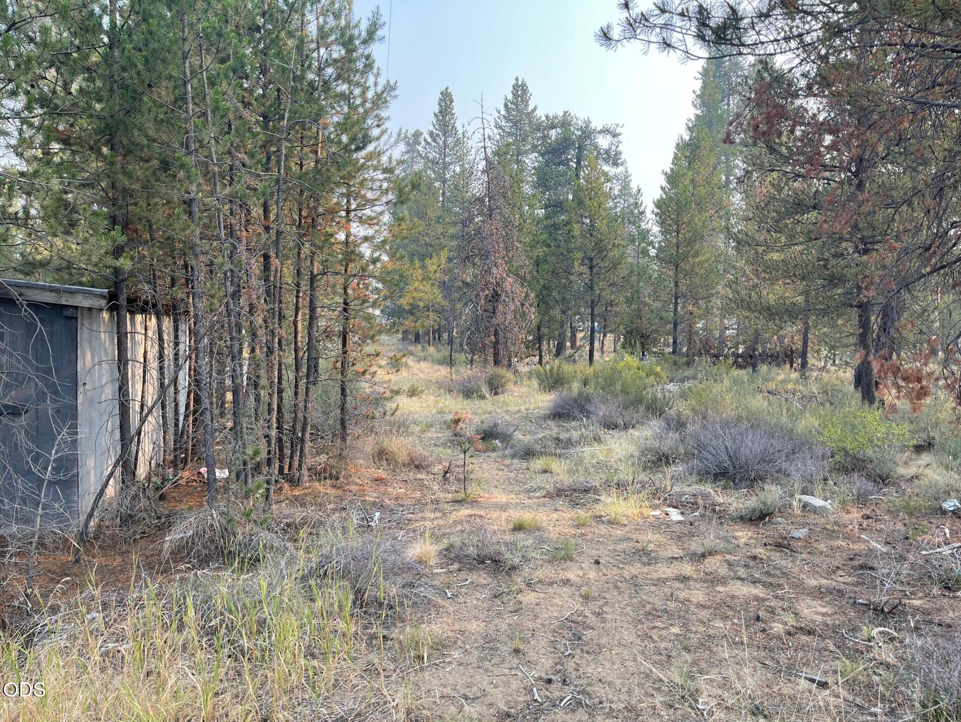 52702 Highway 97