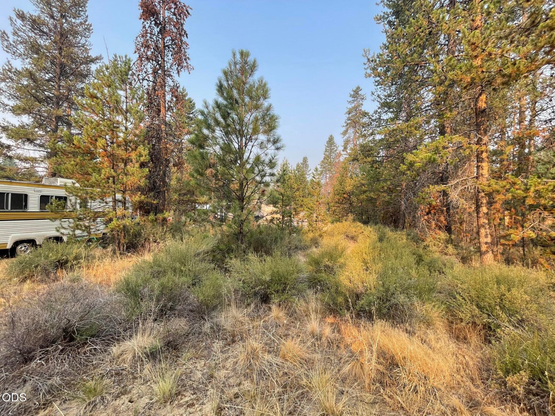52702 Highway 97