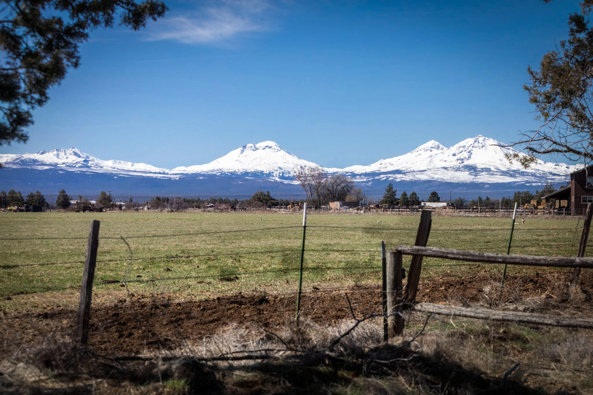 Desert Sand Arabian - Residential