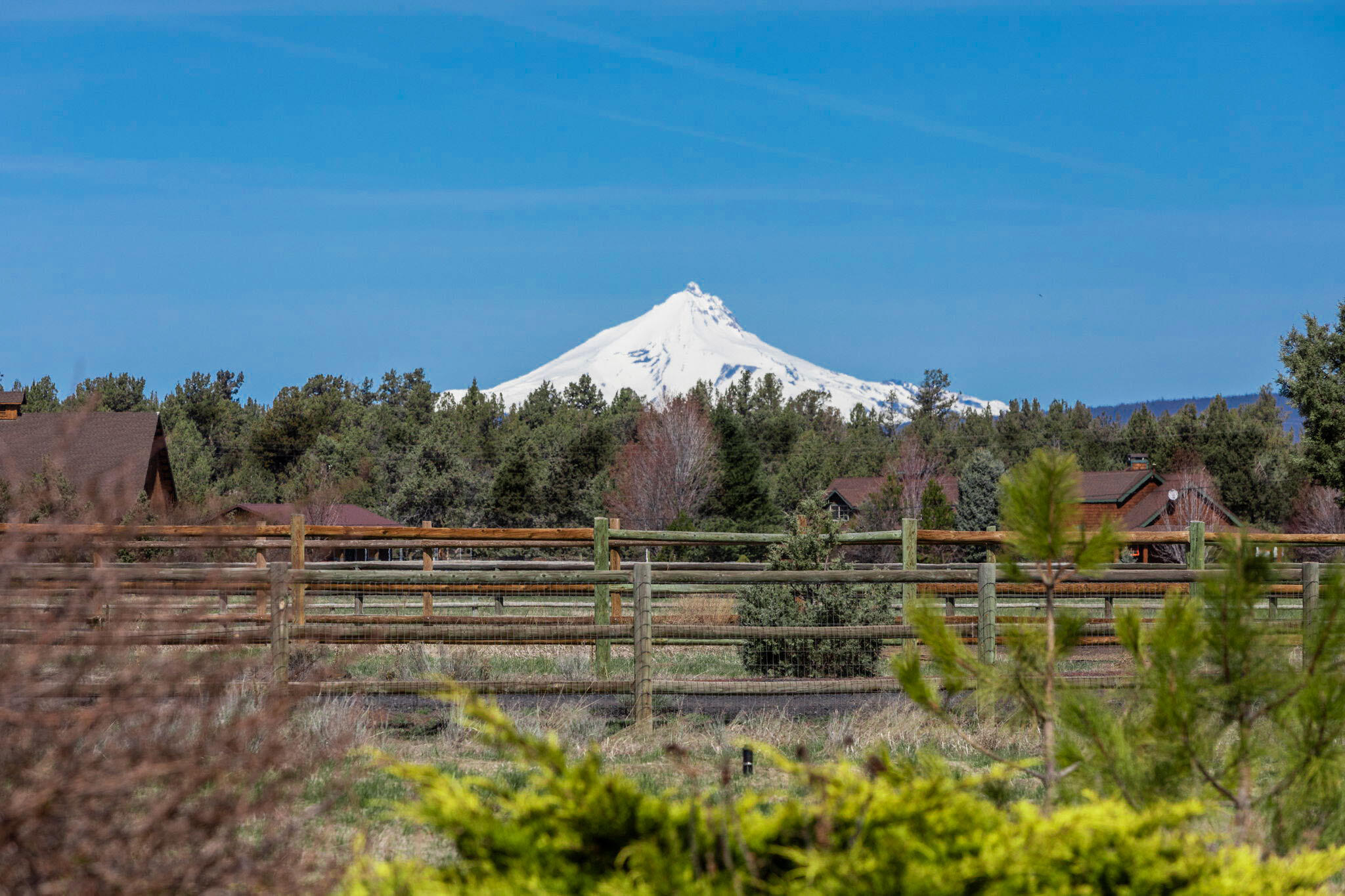 Desert Sand Arabian - Residential