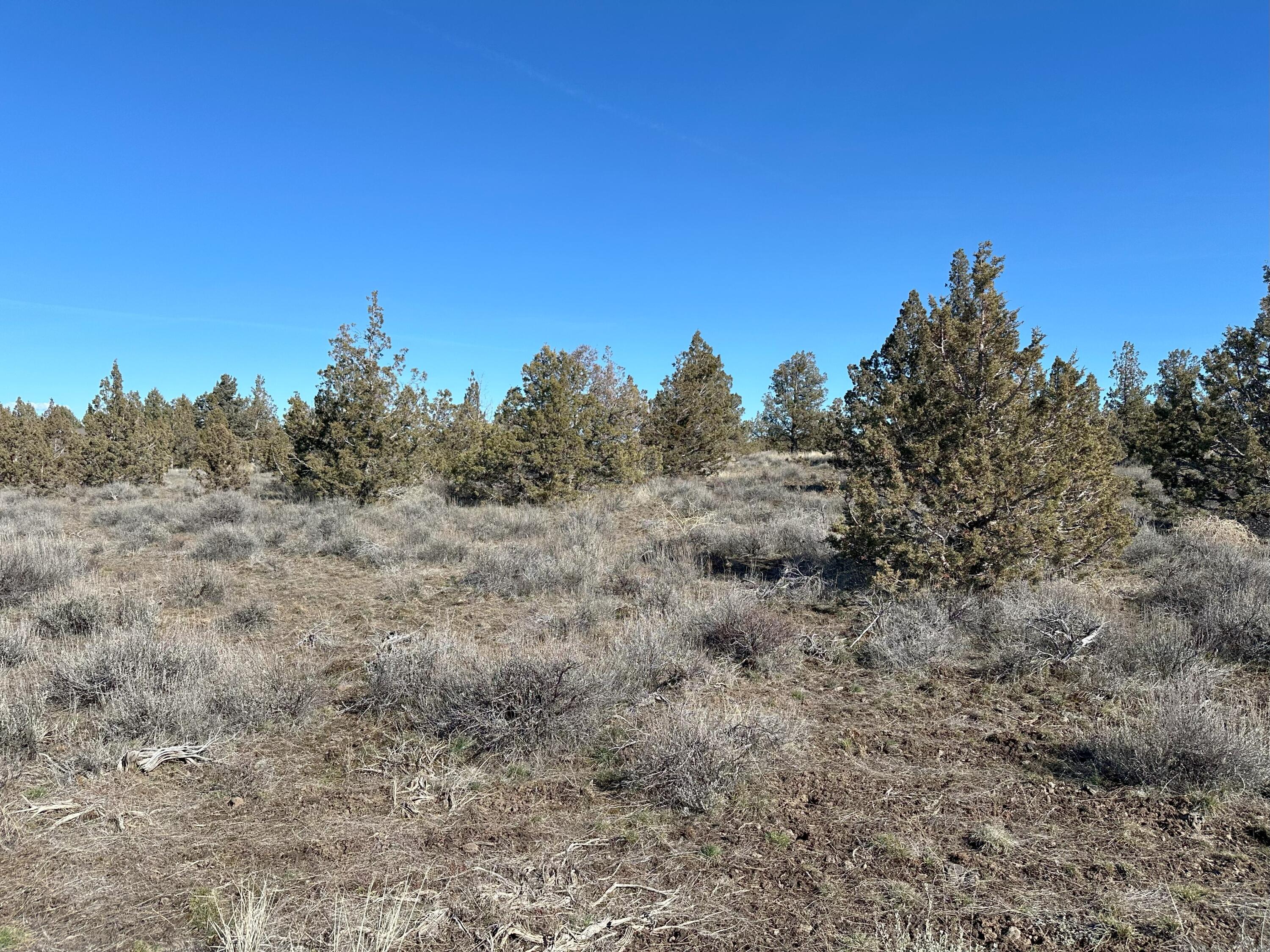 SE Odessa Road Lot 132