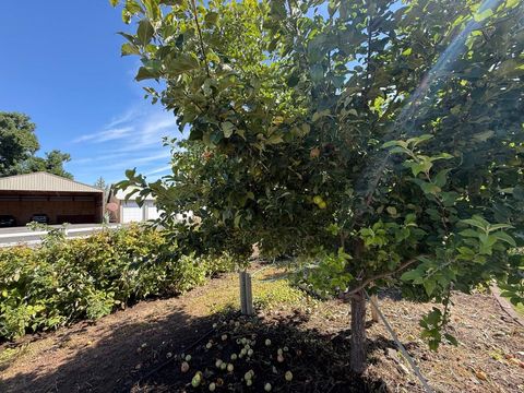 Tiny photo for 547 SW Bear Drive, Madras, OR 97741 (MLS # 220210971)