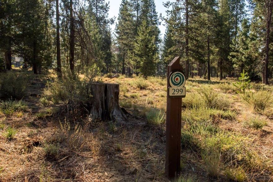 Caldera Springs - Lot 299 Trailmere Circle is a sunny, open homesite with a large common area to the rear. The wide width (133' at the back lot line) provides extra space and privacy. The site is elevated above the street, with a gentle slope. Convenient trail access, and near all the community recreation include acres of lakes, miles of trails, dining,swimming, kayaks, canoes, golf, sports courts and more.