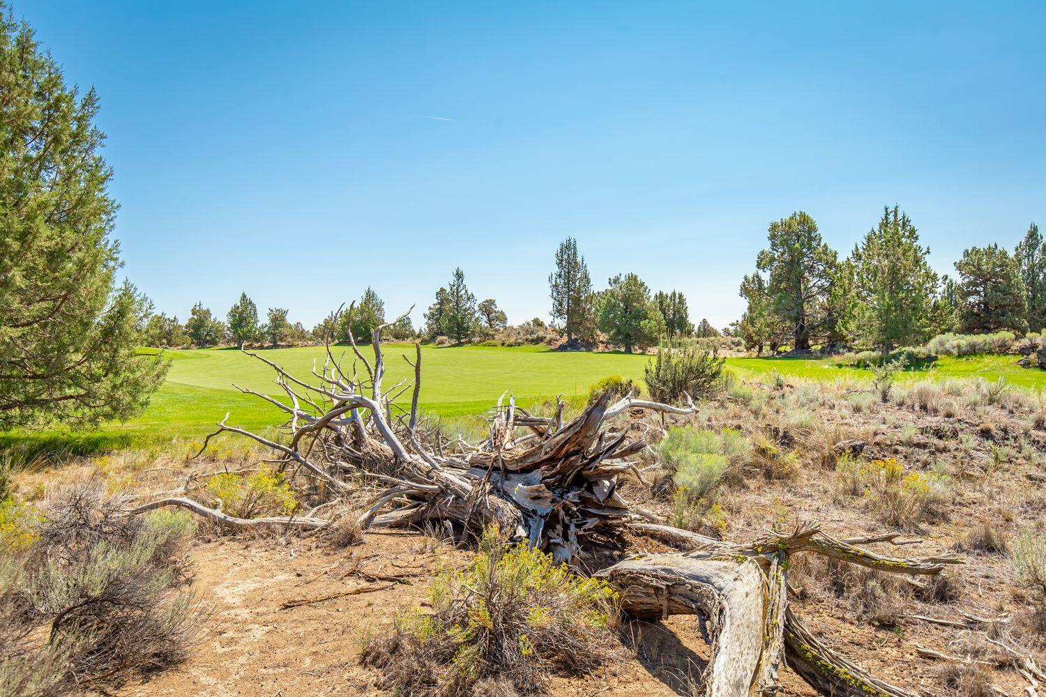 Pronghorn - Residential