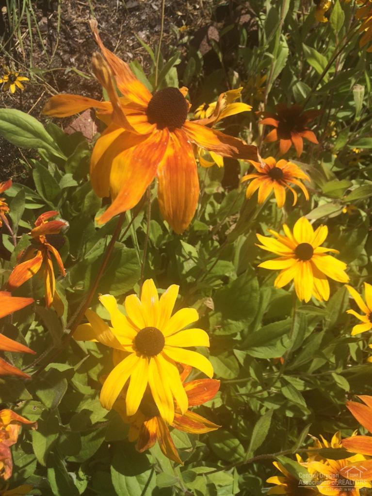 Rock Arbor Villa - Residential