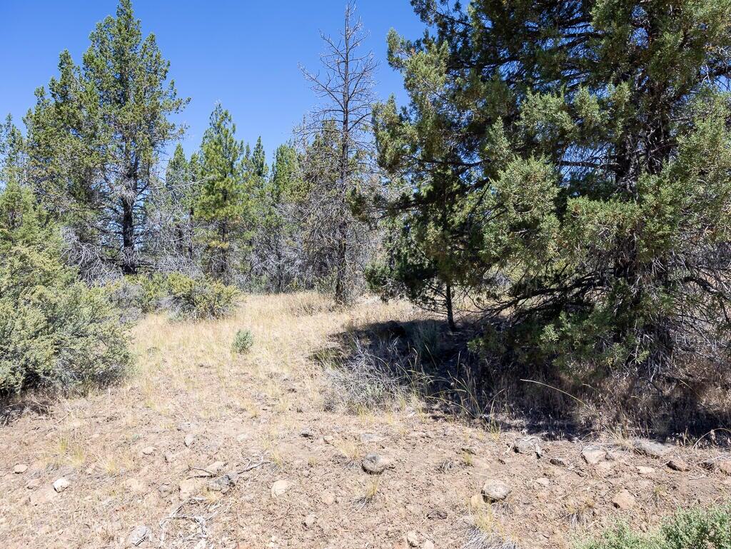 Klamath Falls Forest Estates Hwy 66 Unit Plat 4 - Land