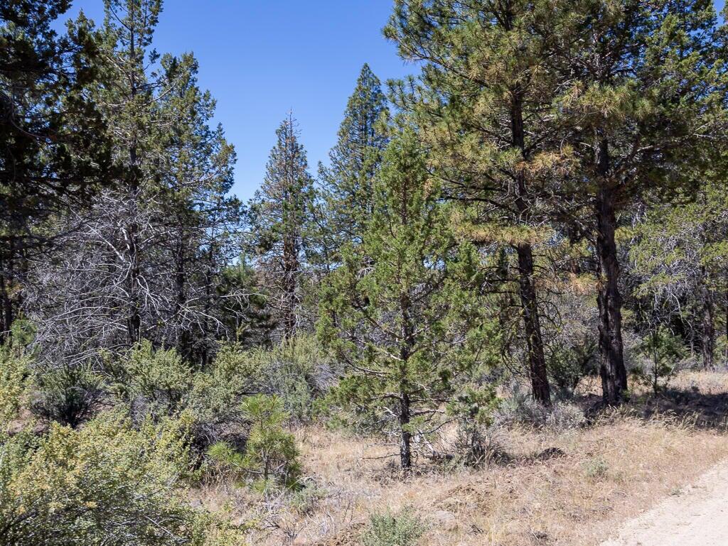 Klamath Falls Forest Estates Hwy 66 Unit Plat 4 - Land