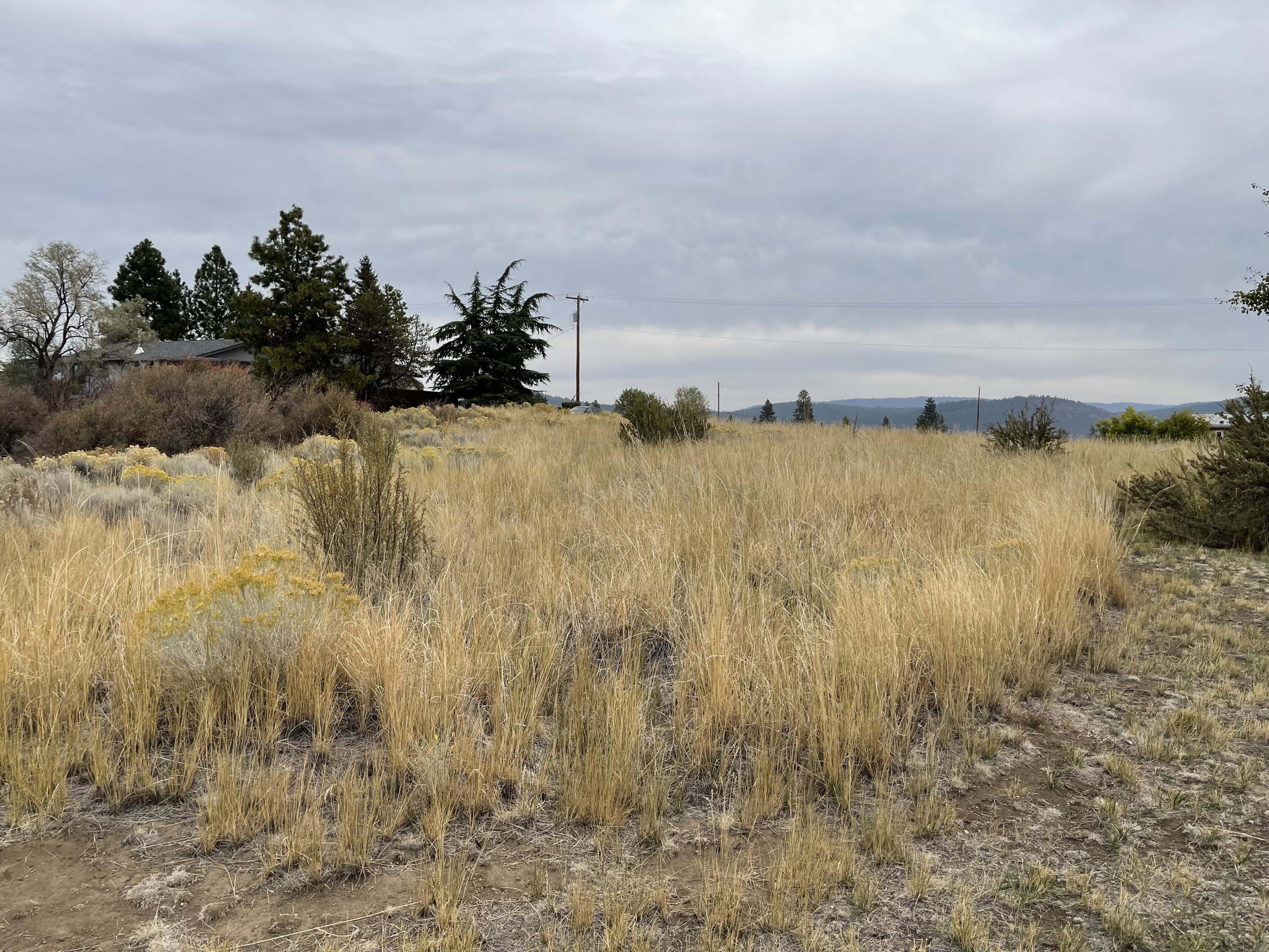 Oregon Shores -Unit 2 - Land