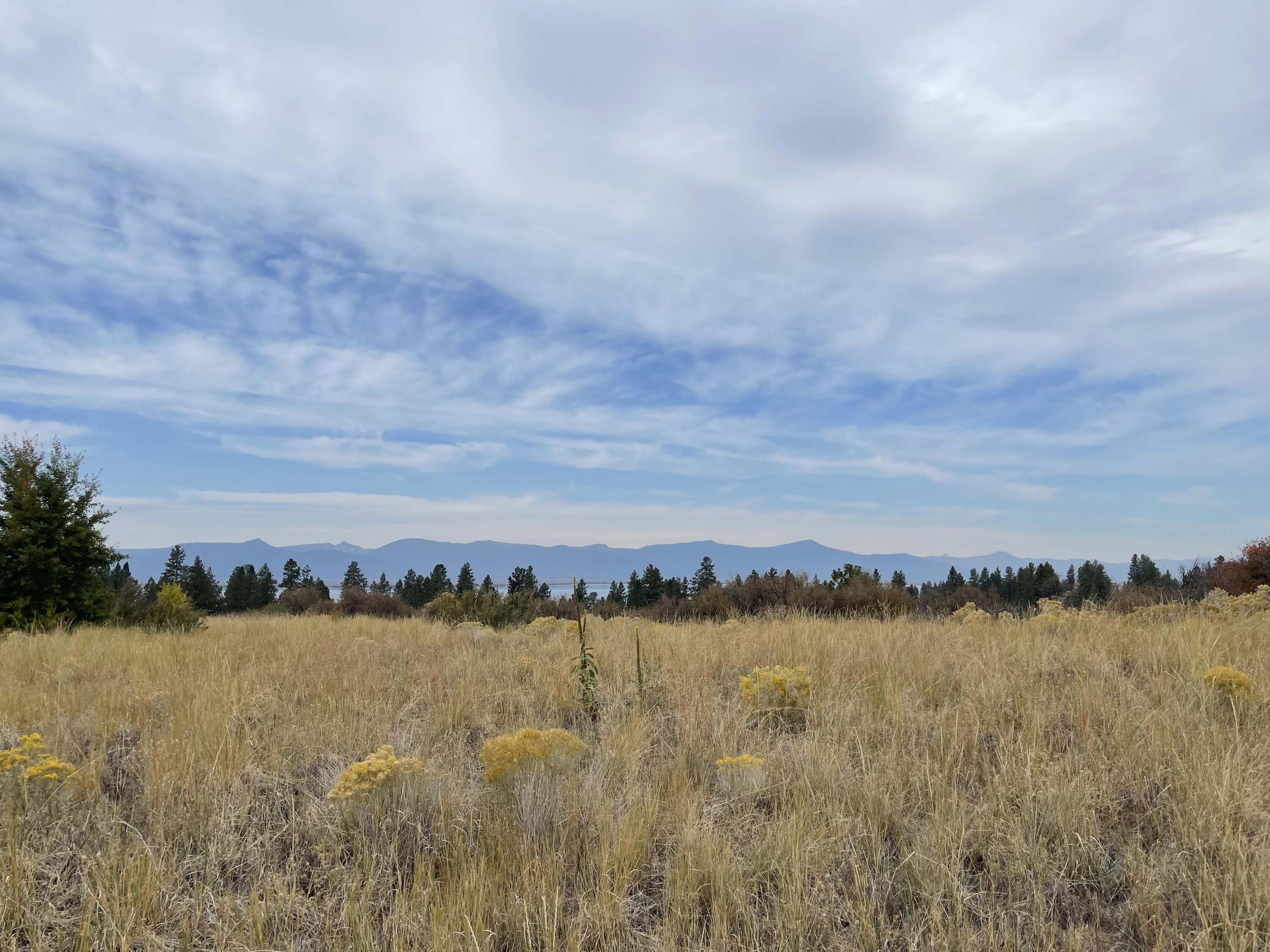 Oregon Shores -Unit 2 - Land