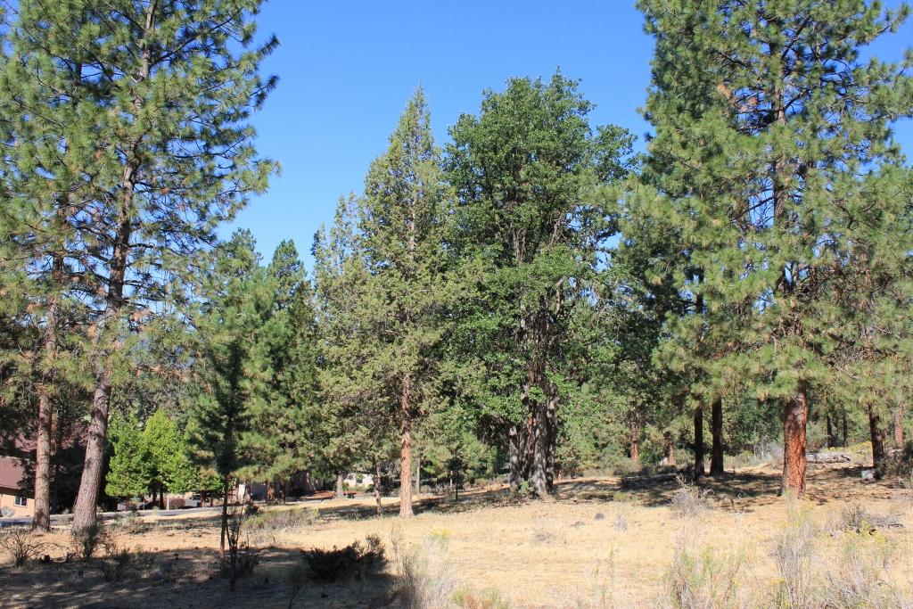 Running YResort - Land