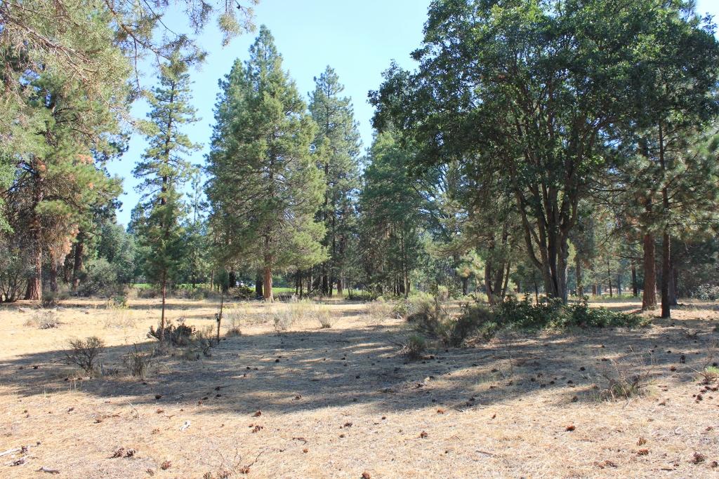 Running YResort - Land