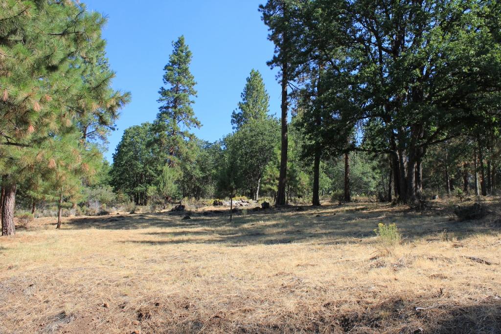 Running YResort - Land