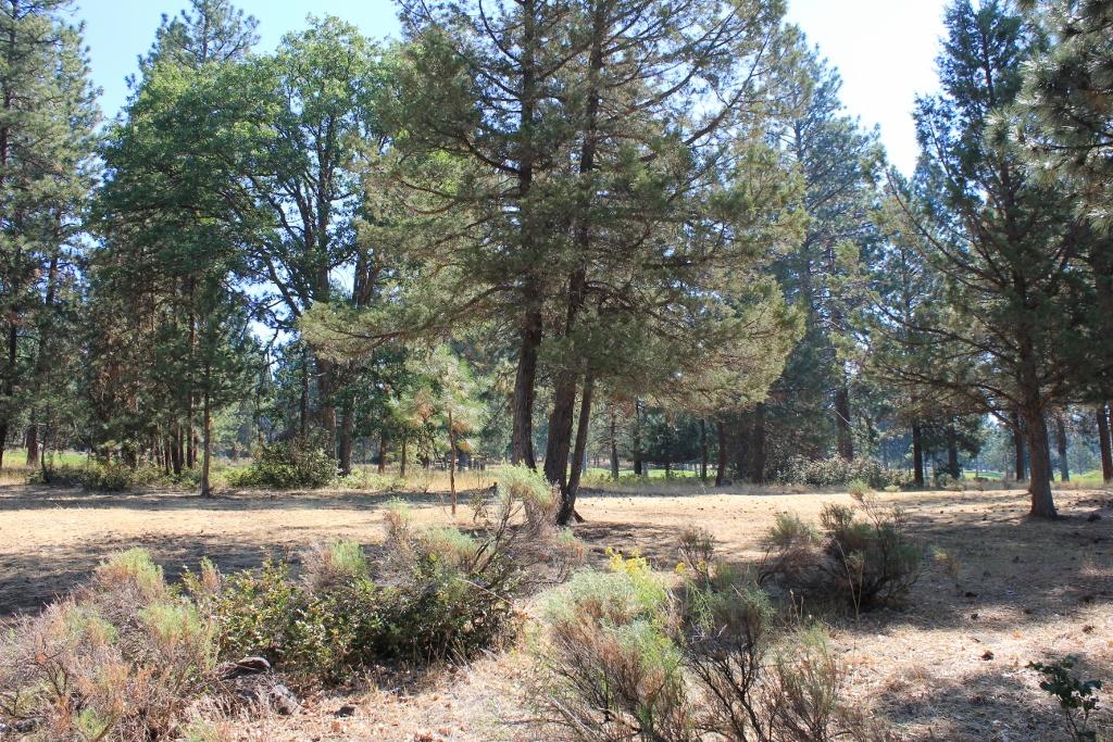 Running YResort - Land