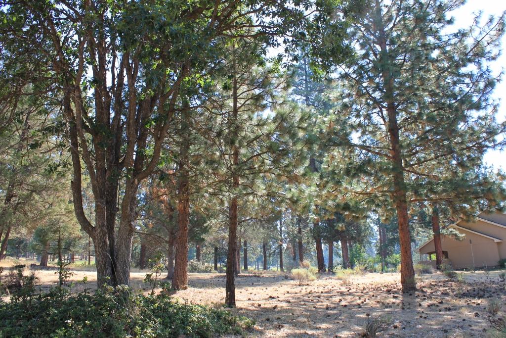 Running YResort - Land