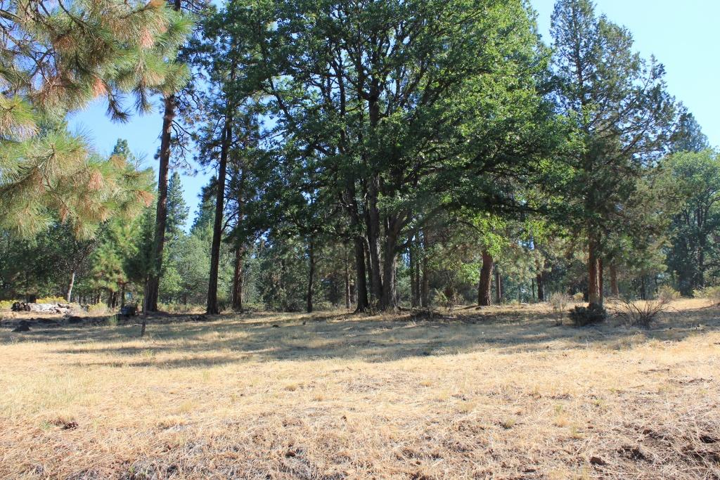 Running YResort - Land