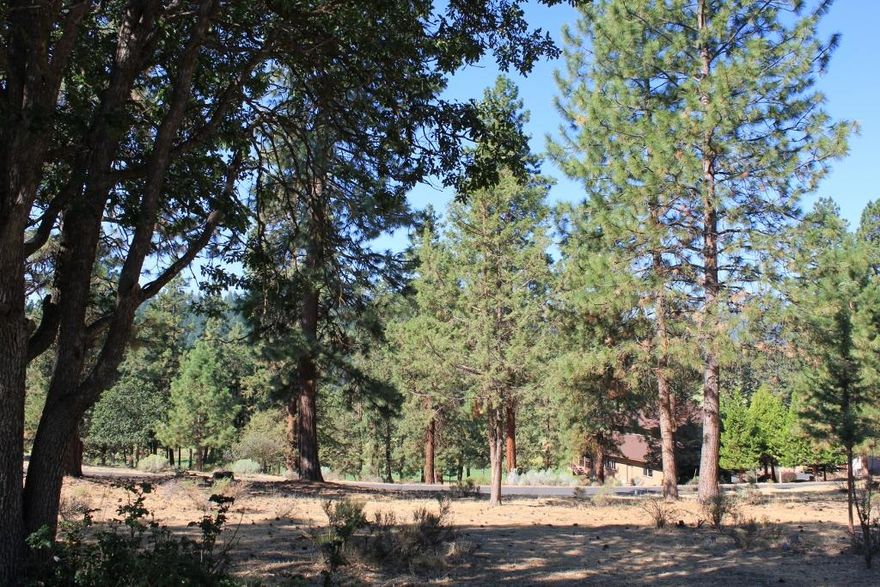 Property is located at Ridge View area of the Running Y Ranch Resort just outside city of Klamath Falls. Home site offers view of the 7th fairway from rear, ranchland and mountains from front. Amenities of the Running Y Resort include the only Arnold Palmer designed golf course in Oregon, pitch & putt course, 81 room lodge/hotel, Ruddy Duck restaurant, Sandhill Spa, convention center and horseback riding (in season). A non-profit manages an ice rink (in season).  The HOA maintains a fitness center with indoor pool/spa, pickleball, tennis, volleyball and basketball courts and a fishing pond. Other resort amenities include market/sandwich shop, WorldMark timeshare facility, Real Taste of India restaurant and Shagi Mane salon. Nearby sites to visit are Carter Lake National Park and Lava Beds National Monument.  Activities abound – fishing, kayaking, ziplining and hunting.