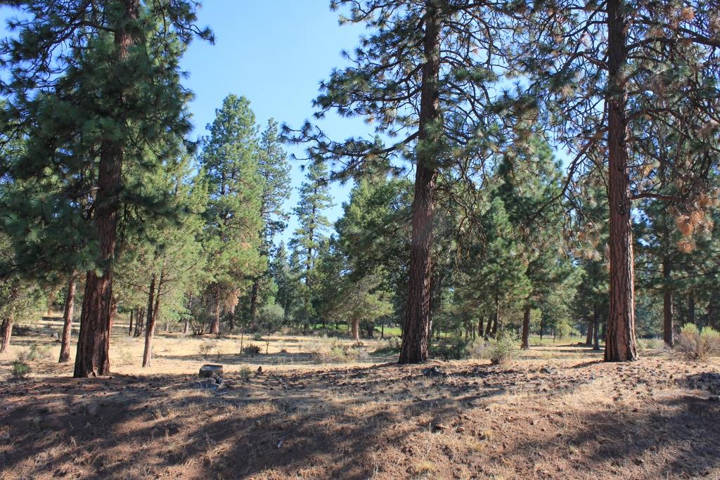 Running YResort - Land