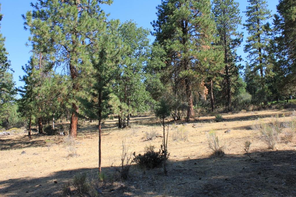 Running YResort - Land