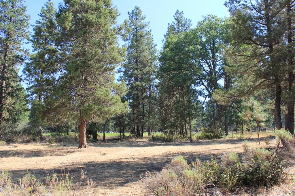 Running YResort - Land