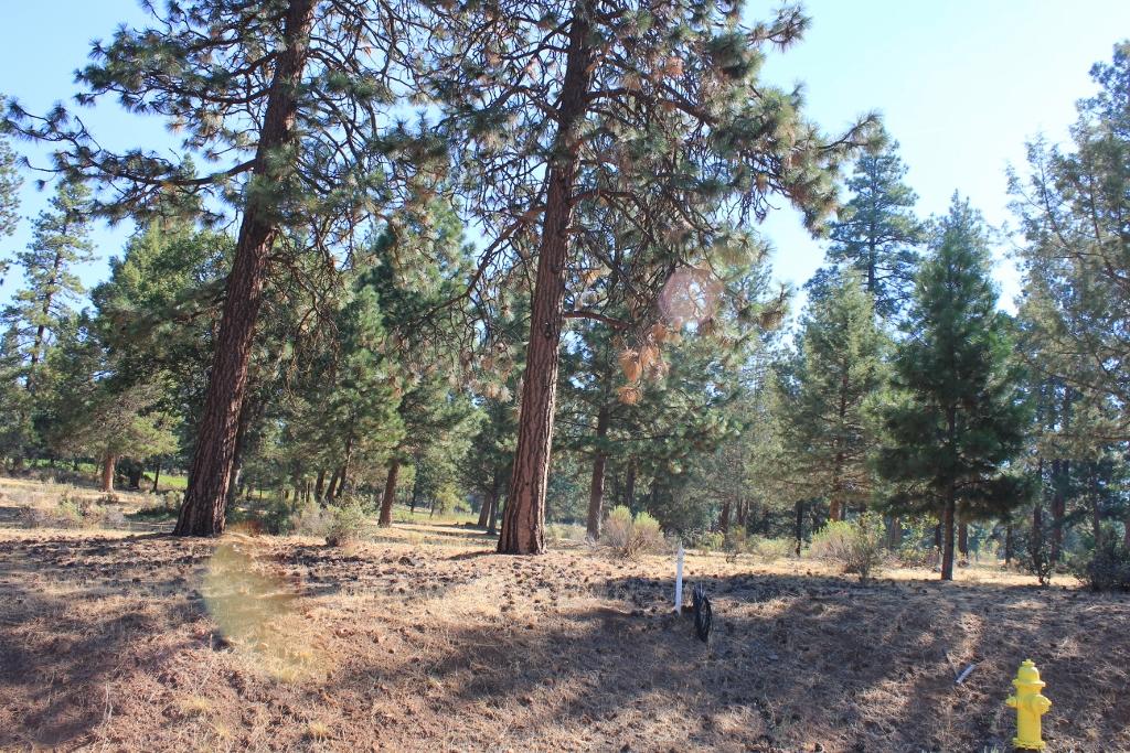 Running YResort - Land