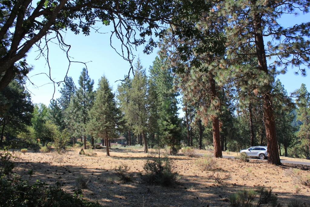 Running YResort - Land