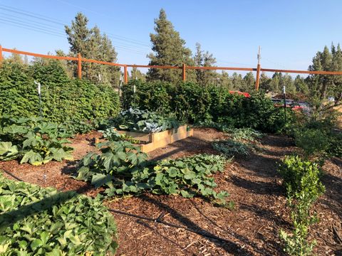 Tiny photo for 69130 Hurtley Ranch Road, Sisters, OR 97759 (MLS # 220214223)