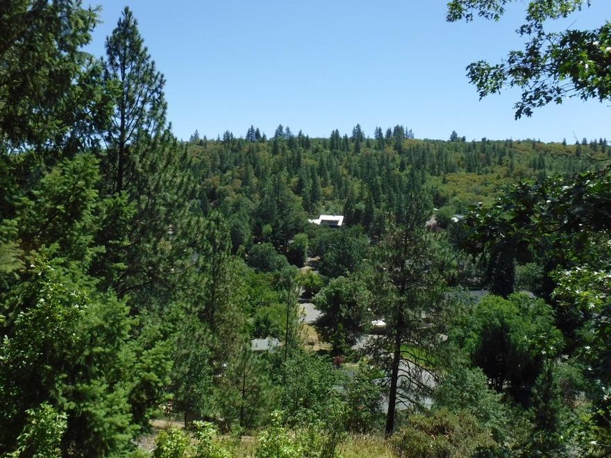 This .64 steep lot in the City of Jacksonville had prior approval for building a two story home with views. The homesite would have to be approved by the city. The lot has little useable space and there was a prior geologic survey and needed infrastructure for approved building and site preparation. Buyer to do due diligence with the city for uses and conditions of this property. The seller might be willing to carry for 1 year OAC which construction is being completed OAC. Call listing agent for additional documents and prior ideas for this lot.