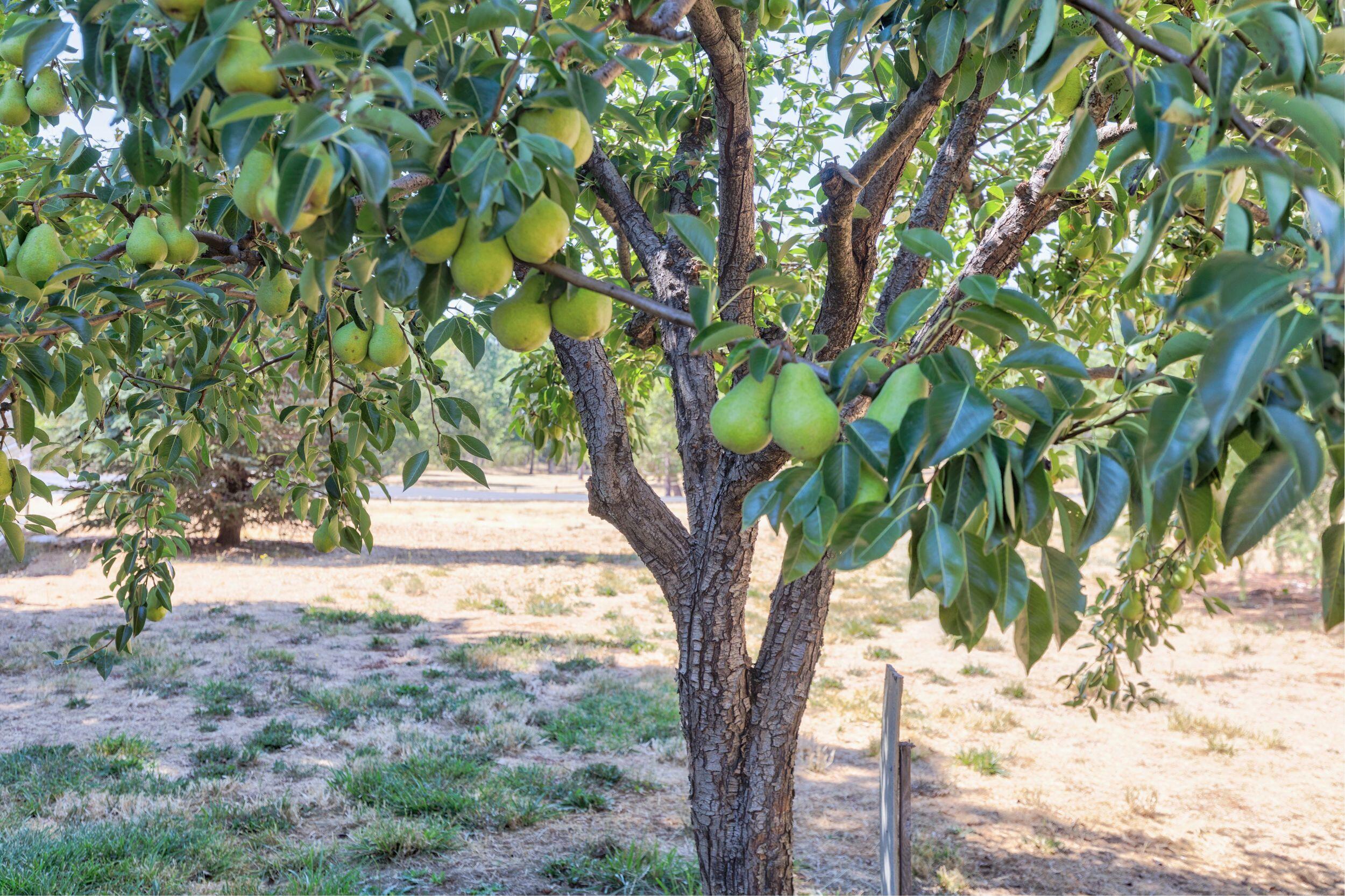 April Hills Subdivision - Residential
