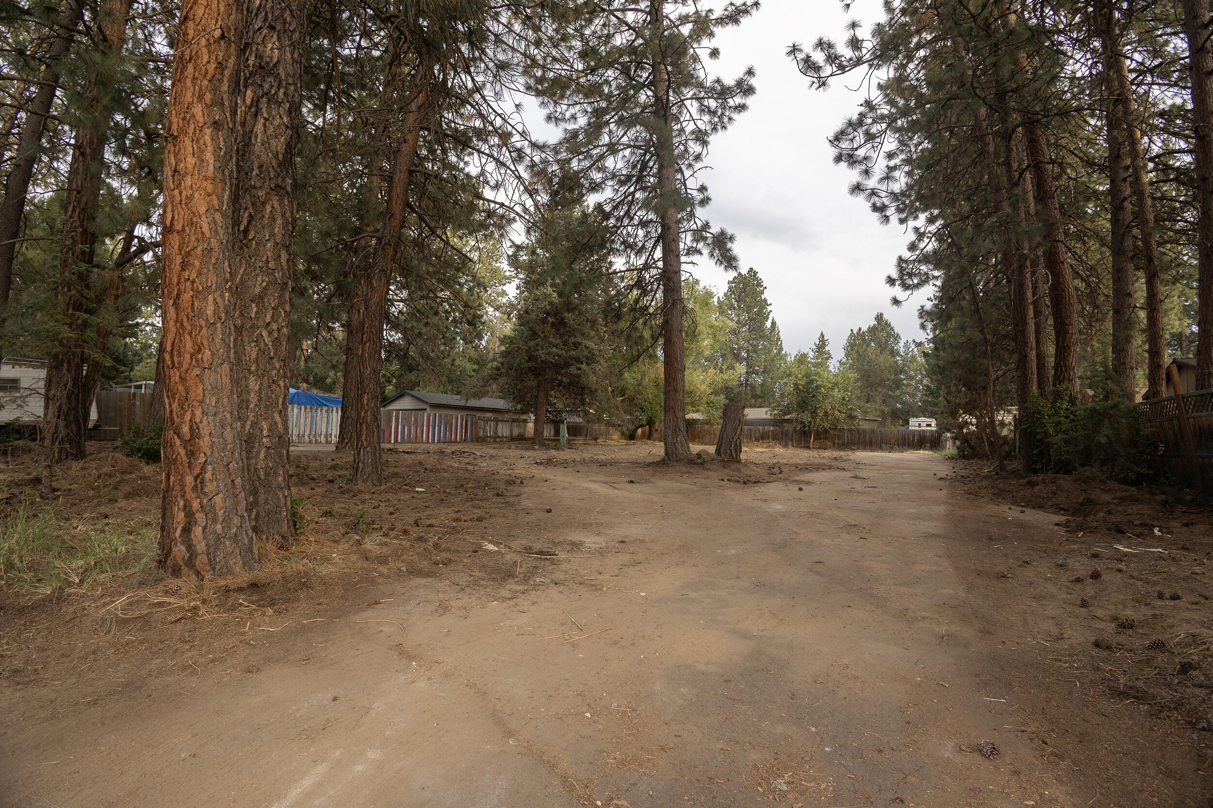 60890 Alpine Drive