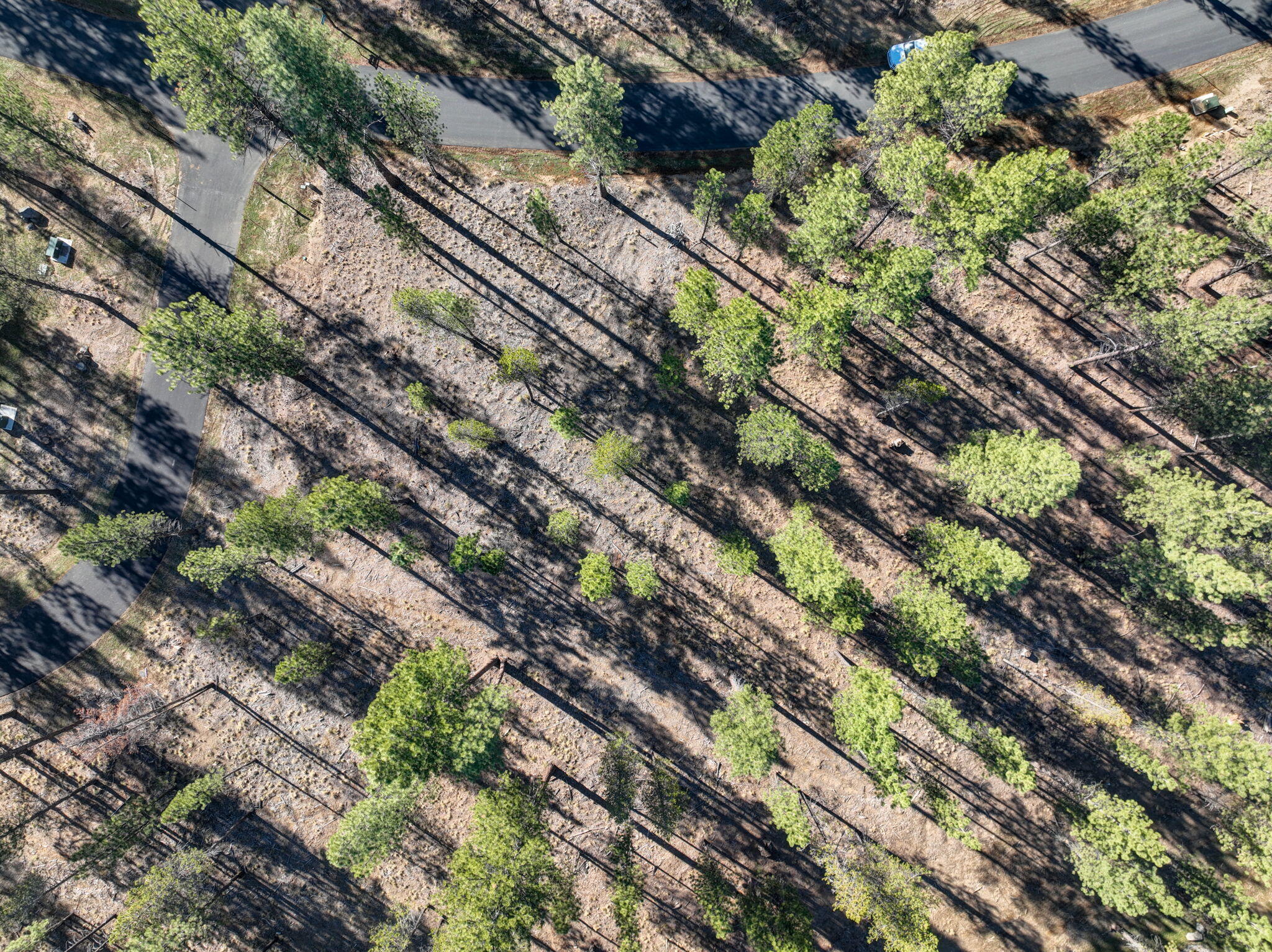 Caldera Springs - Land