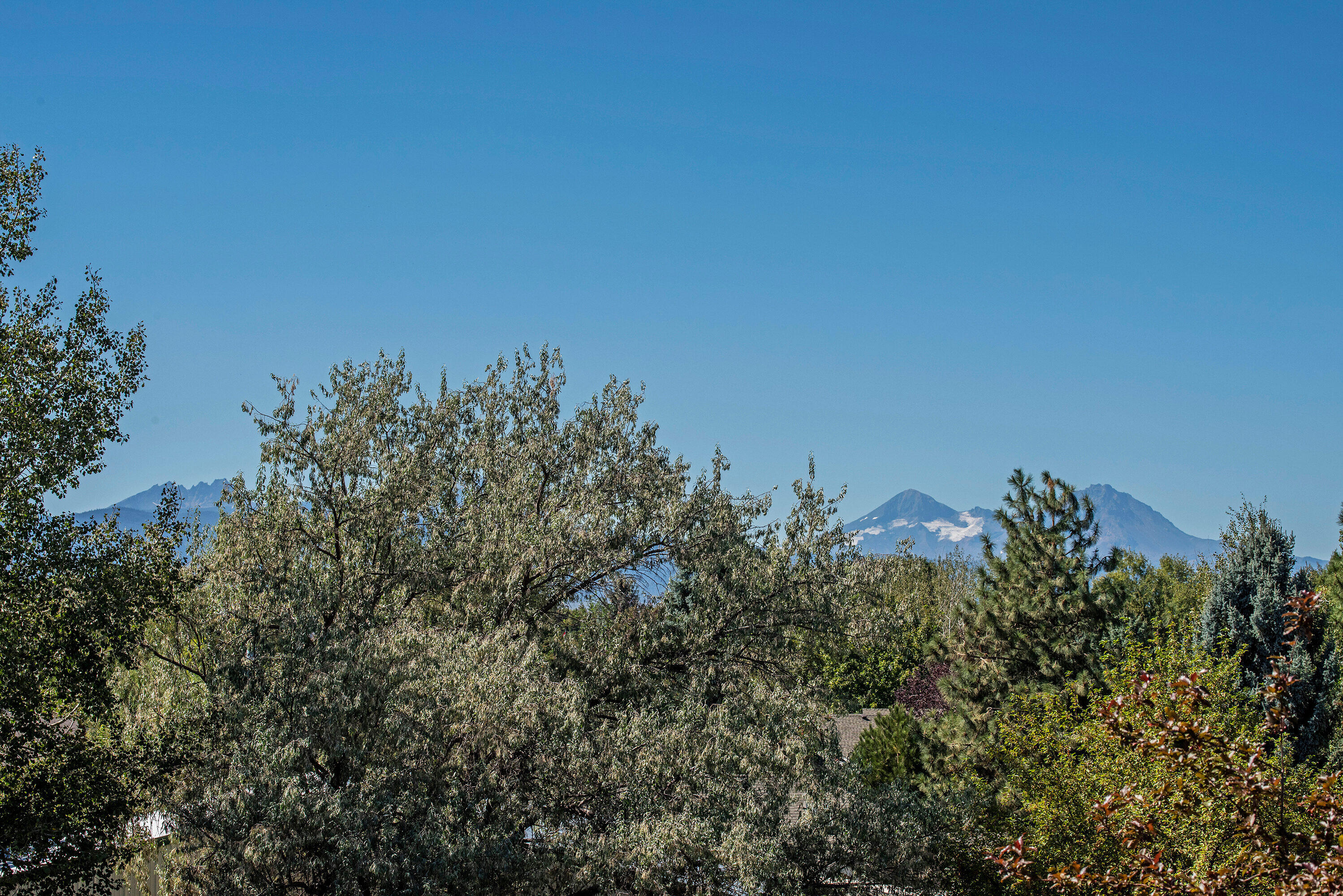 Phoenix Park - Residential