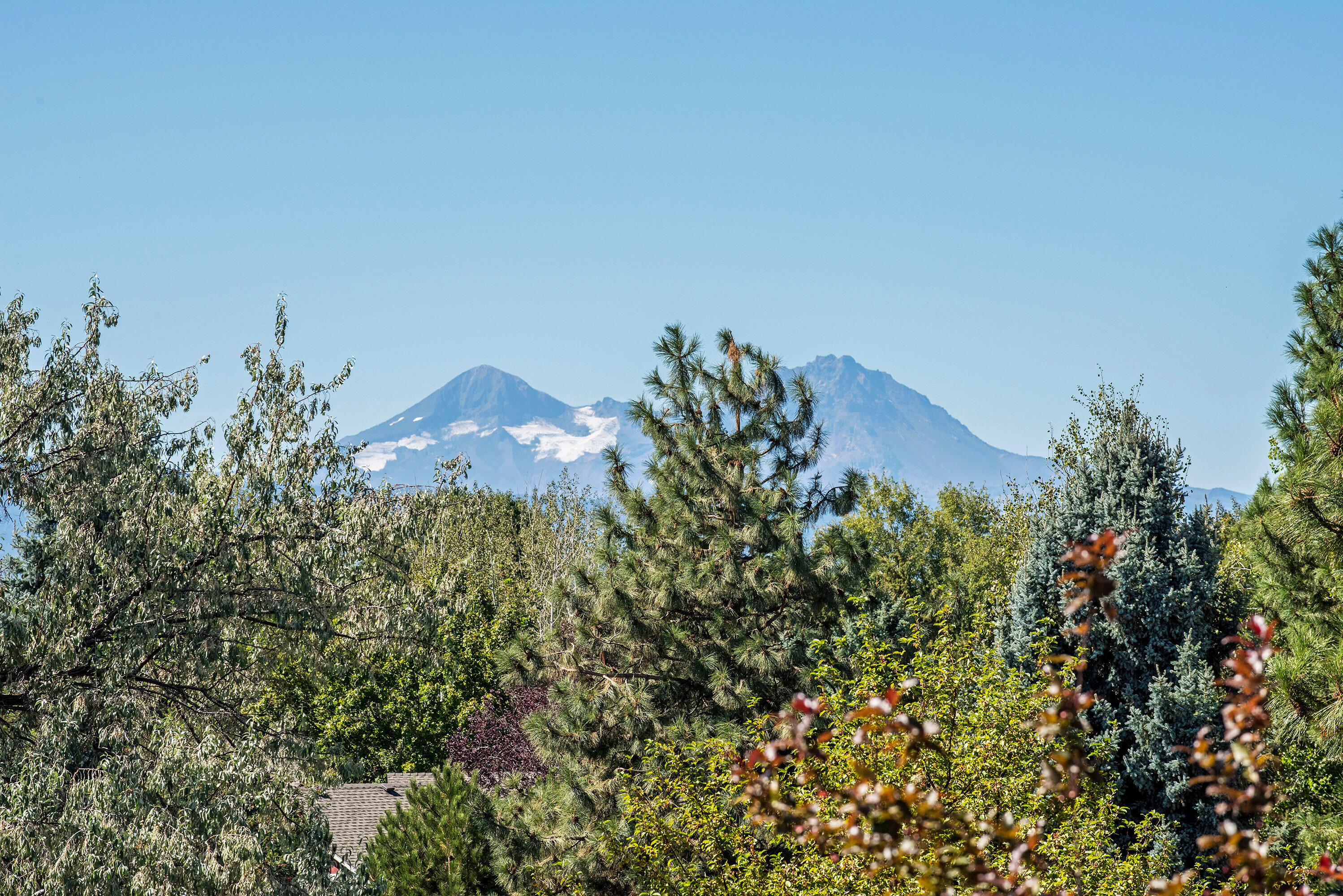 Phoenix Park - Residential