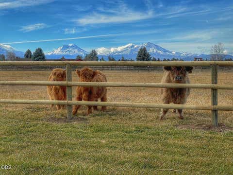 Tiny photo for 18108 Fadjur Lane, Sisters, OR 97759 (MLS # 220227300)