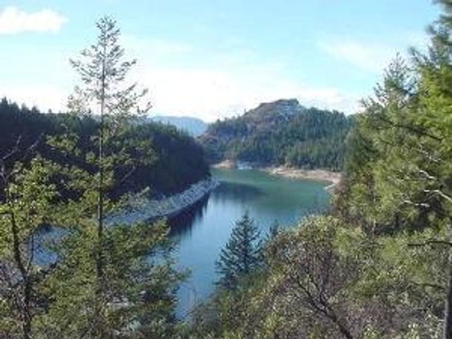 .75 acres includes 3 tax lots. Pasture has 28 acres of irrigation rights by gravity flow from Nye ditch. Irrigation equip included. Permanent home site approval with several additional view sites if buyer applies to move home site. Gorgeous views of Cascade Gorge and the Rogue River. Property loaded with Douglas Fir and nice Madrone. A great combination of trees, pasture and views.