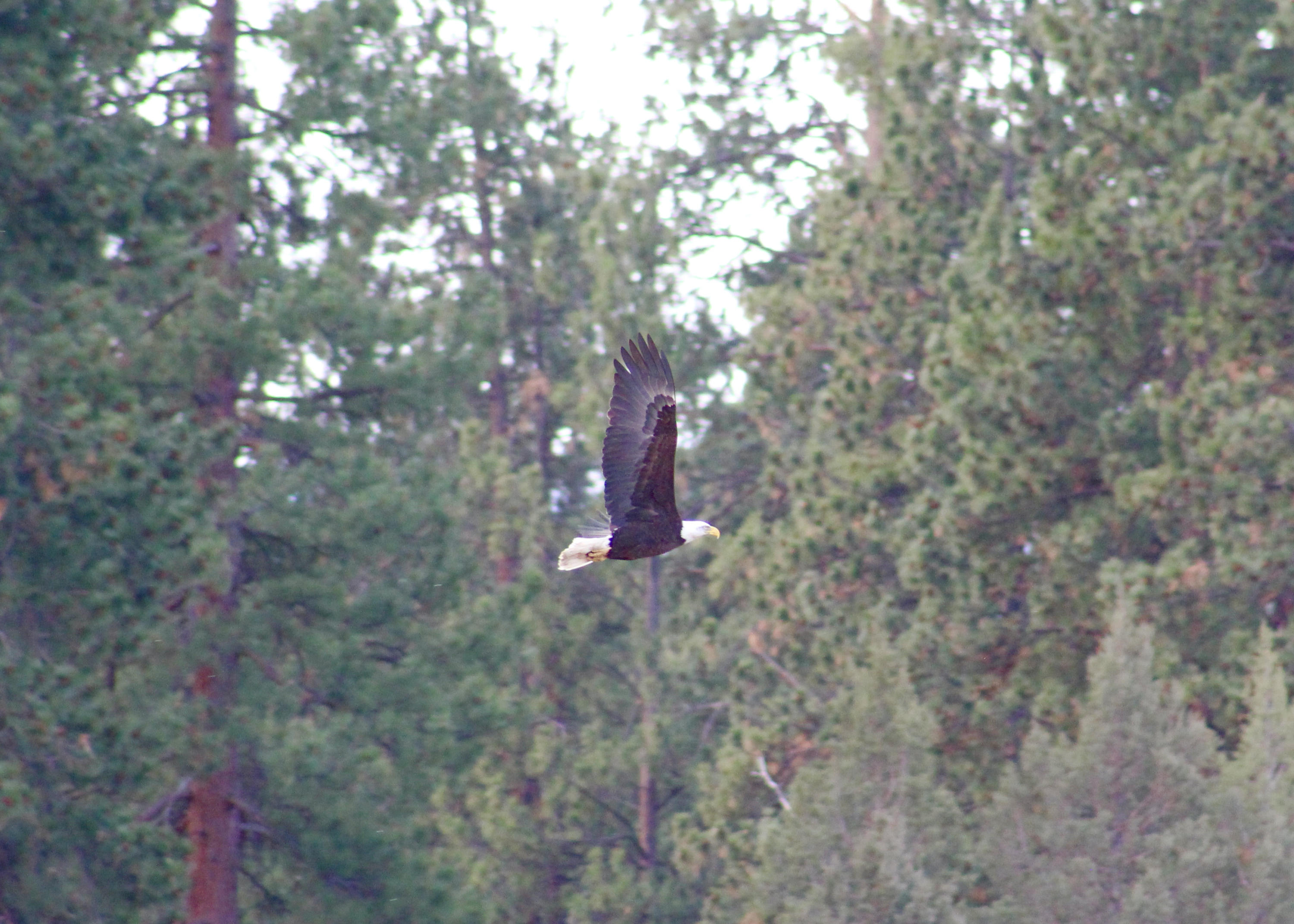 Barclay Meadows - Residential