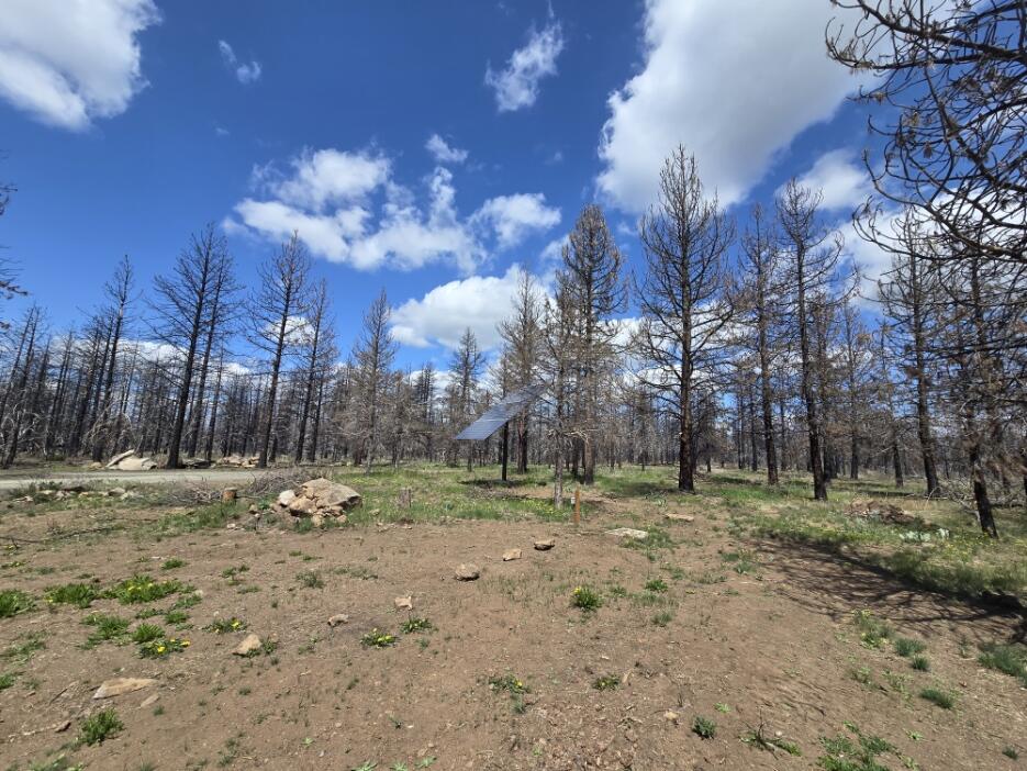 Klamath Falls Forest Estates Hwy 66 Unit Plat 4 - Residential