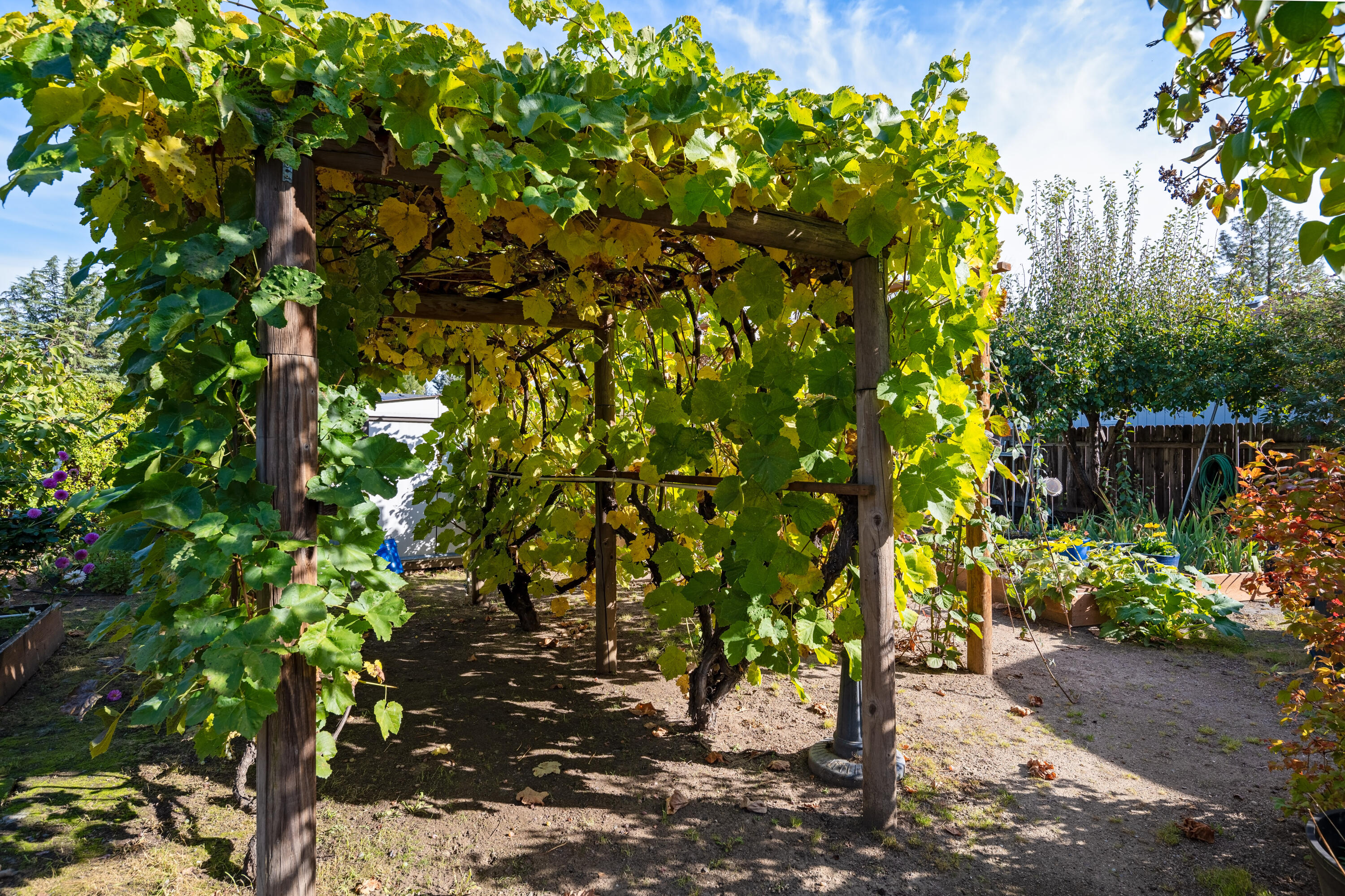 Mazama Village - Residential