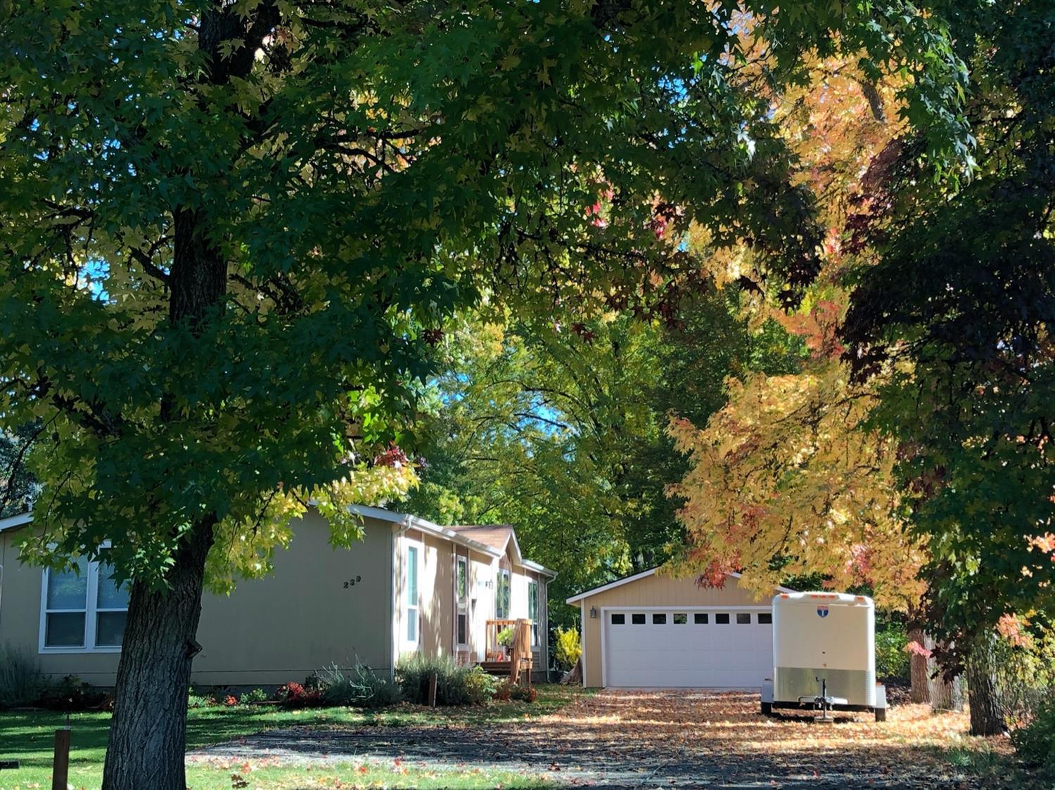 Sec 36 - Residential