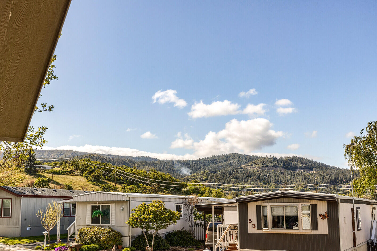 Royal Subdivision - Residential