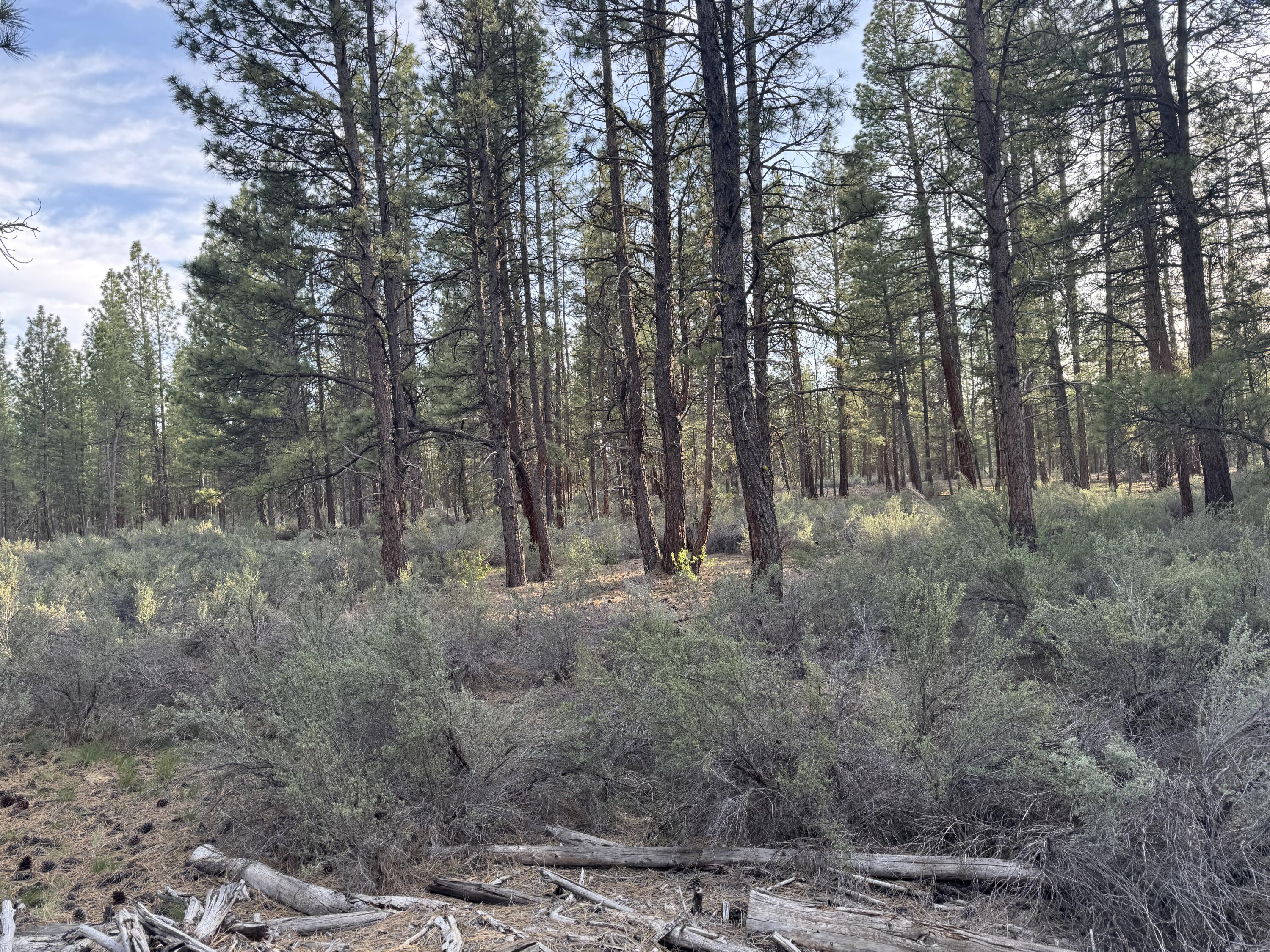 0 Silver Fox Lane 13